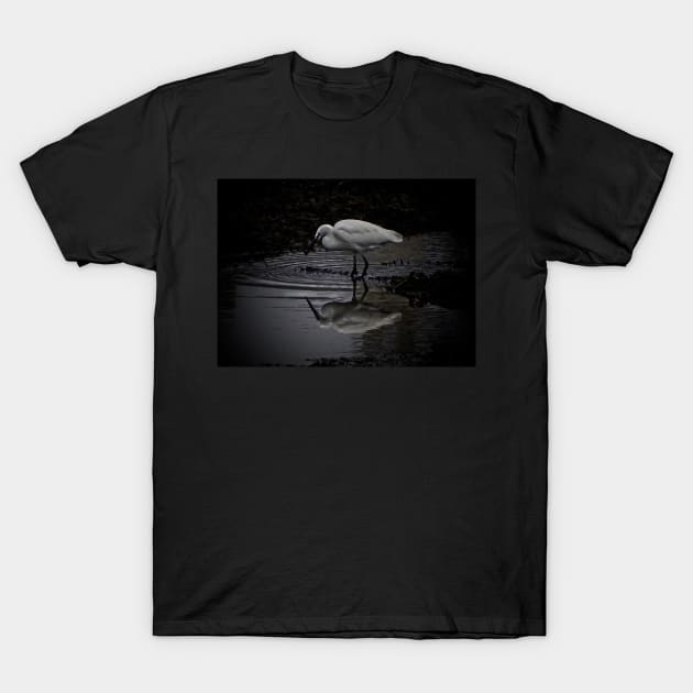 REFLECTING ON THE SHADOW OF YOUR OWN EGRETS... T-Shirt by dumbodancer